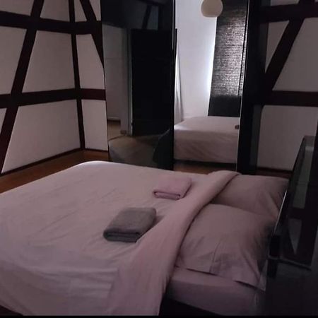 Spacious Appartement Colmar 2 Экстерьер фото